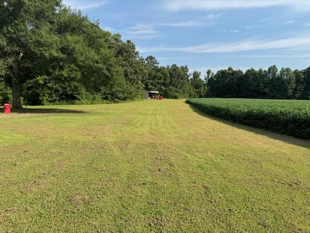 320 Rabbit Ranch Road Henderson, TN 38340 - Photo 22 of 29 Expansive green space with mature trees, bordered by a cultivated field and a small outbuilding
