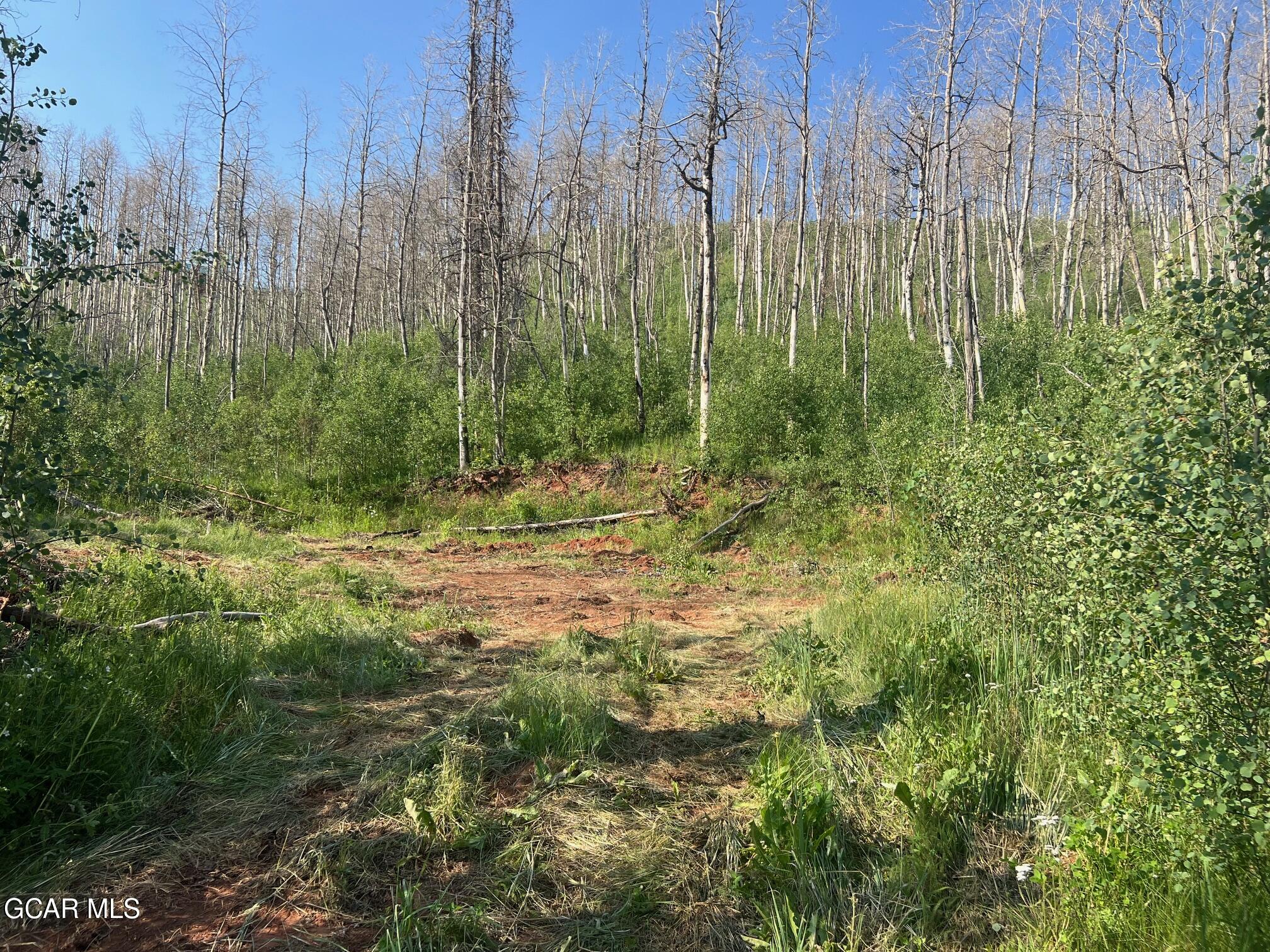 420 Gcr 412 Granby, CO 80446 - Photo 5 of 17 Simpson 5