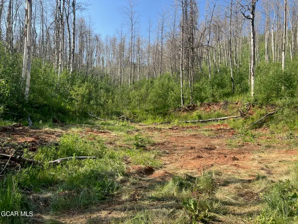 $120,000 | 420 Gcr 412, Granby, CO 80446