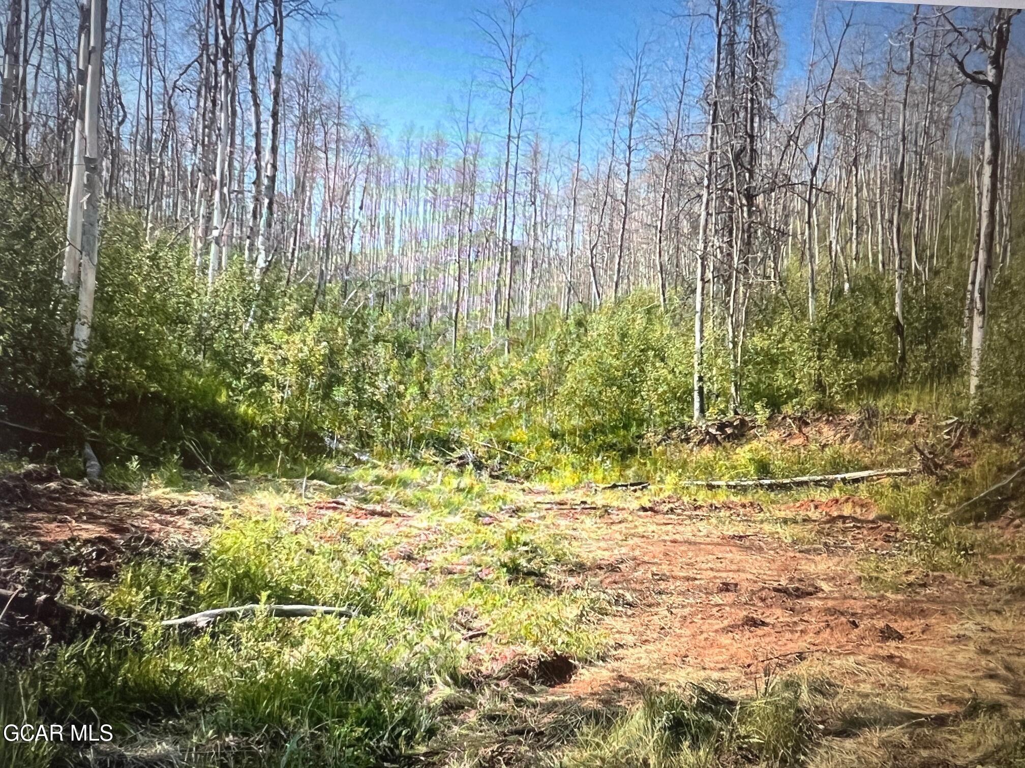 420 Gcr 412 Granby, CO 80446 - Photo 7 of 17 Simpson B