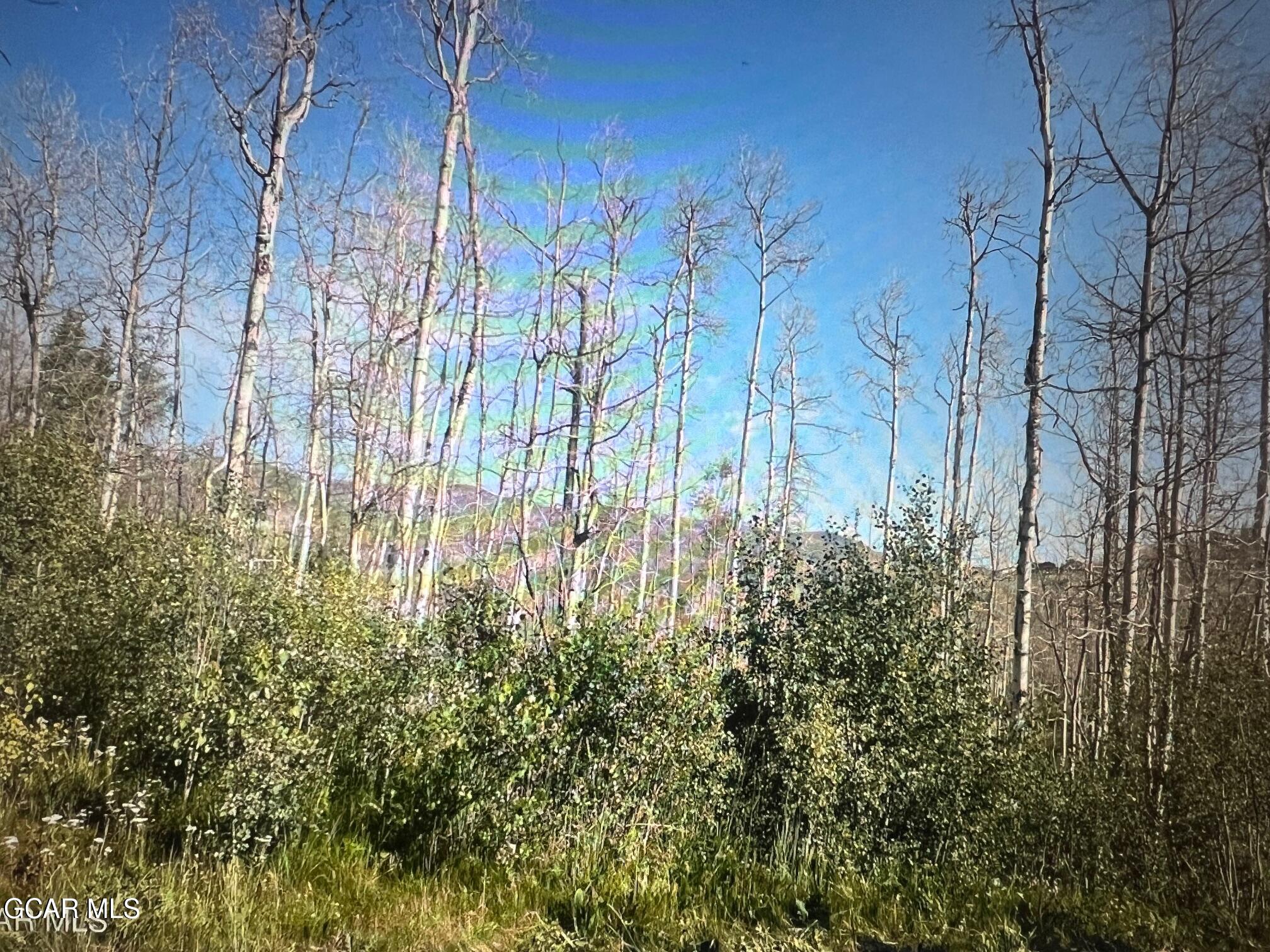 420 Gcr 412 Granby, CO 80446 - Photo 8 of 17 Simpson A