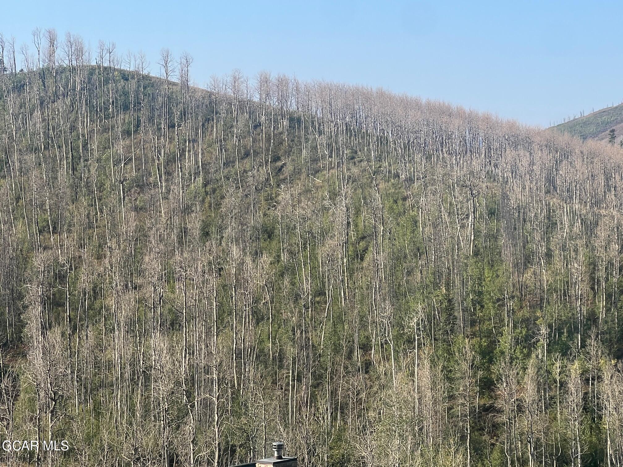 420 Gcr 412 Granby, CO 80446 - Photo 9 of 17 Simpson E