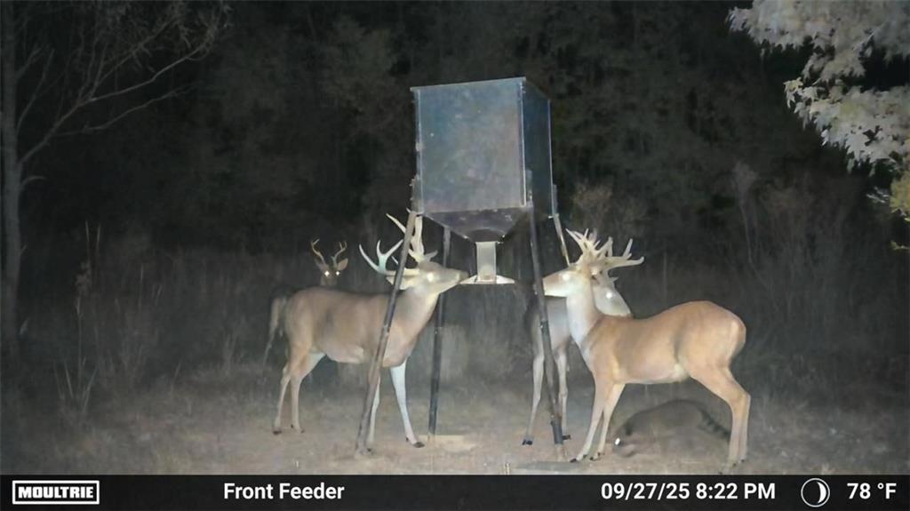 19173 Plank Road Zachary, LA 70791 - Photo 11 of 36