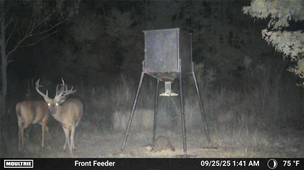 19173 Plank Road Zachary, LA 70791 - Photo 13 of 36