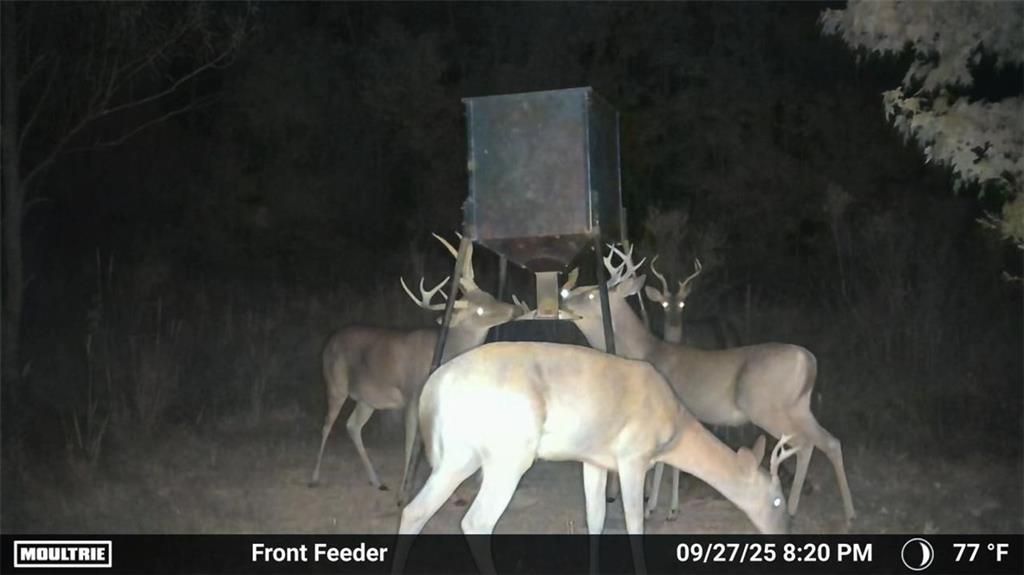 19173 Plank Road Zachary, LA 70791 - Photo 14 of 36