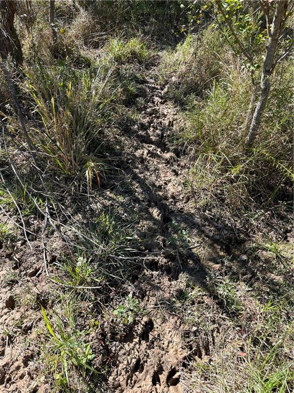 19173 Plank Road Zachary, LA 70791 - Photo 15 of 36