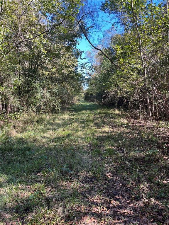 19173 Plank Road Zachary, LA 70791 - Photo 17 of 36