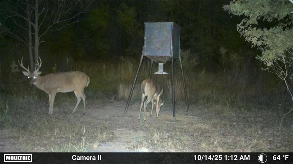 19173 Plank Road Zachary, LA 70791 - Photo 18 of 36