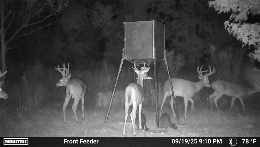 19173 Plank Road Zachary, LA 70791 - Photo 19 of 36