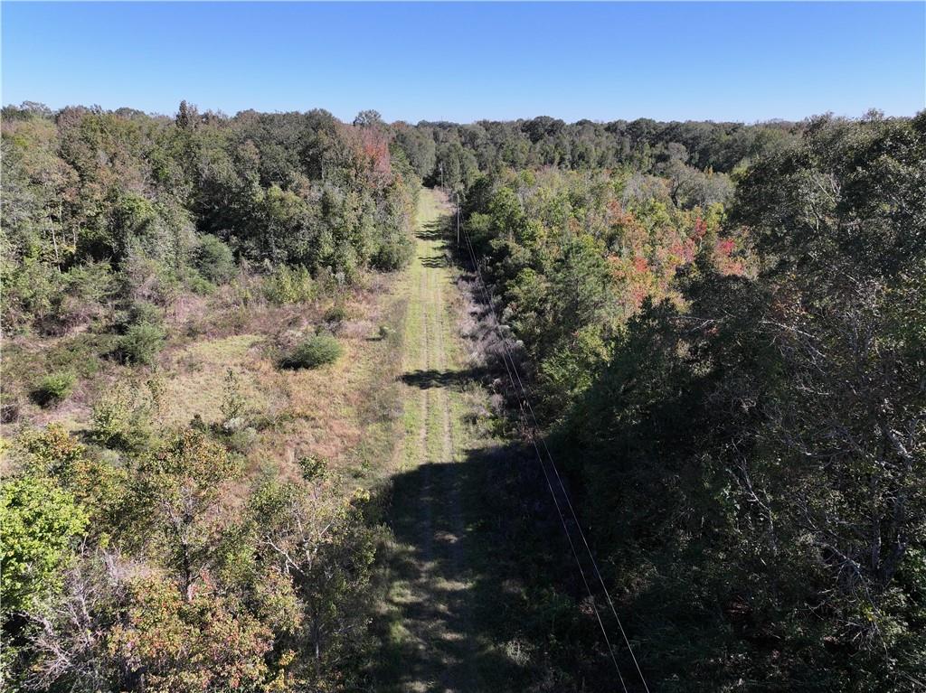 19173 Plank Road Zachary, LA 70791 - Photo 2 of 36