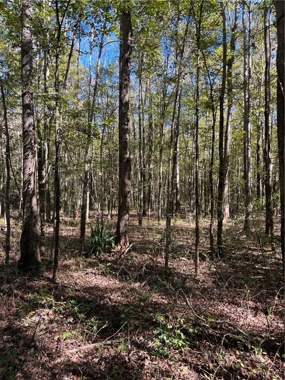 19173 Plank Road Zachary, LA 70791 - Photo 21 of 36