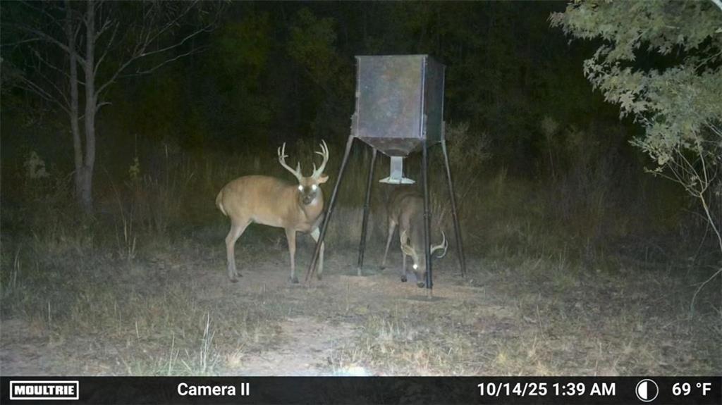 19173 Plank Road Zachary, LA 70791 - Photo 22 of 36