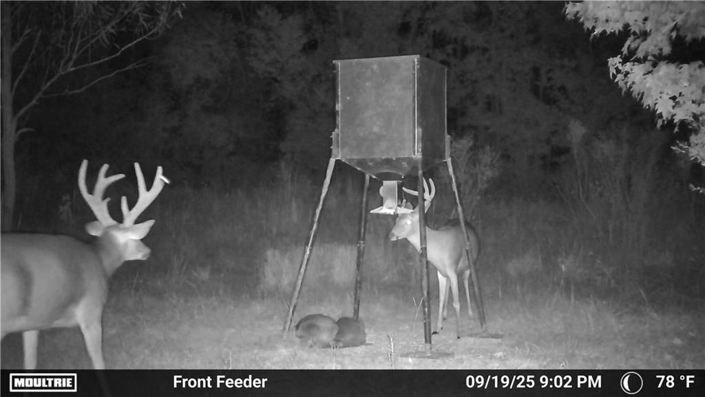 19173 Plank Road Zachary, LA 70791 - Photo 23 of 36