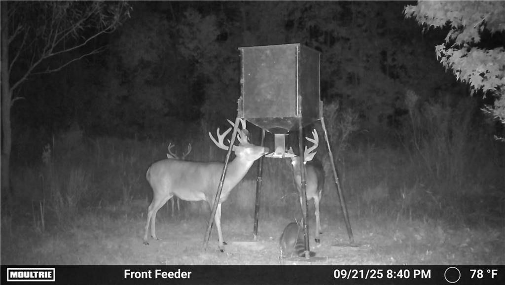 19173 Plank Road Zachary, LA 70791 - Photo 24 of 36
