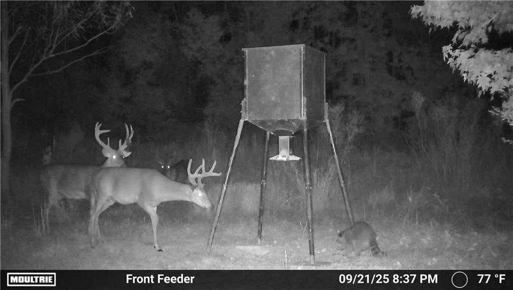 19173 Plank Road Zachary, LA 70791 - Photo 25 of 36