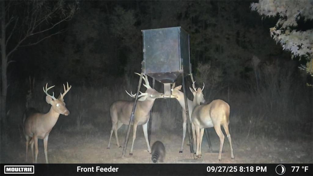 19173 Plank Road Zachary, LA 70791 - Photo 26 of 36