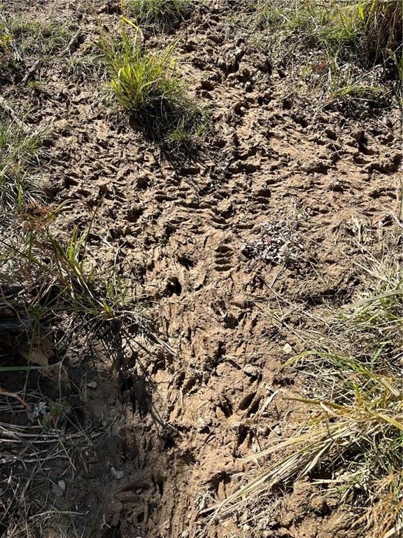 19173 Plank Road Zachary, LA 70791 - Photo 27 of 36