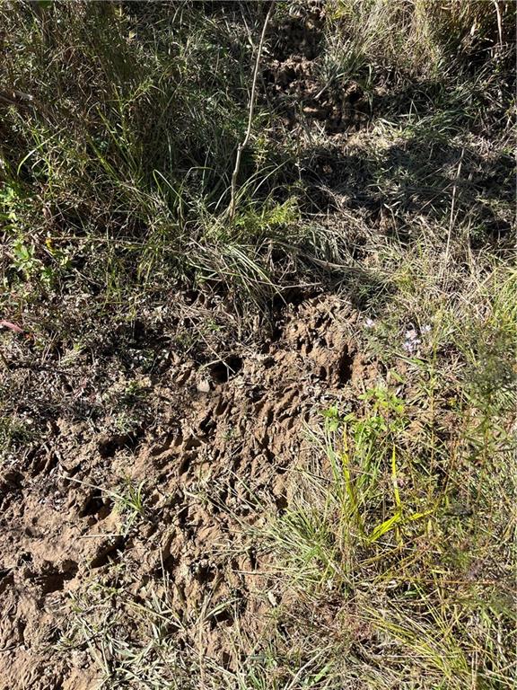 19173 Plank Road Zachary, LA 70791 - Photo 28 of 36