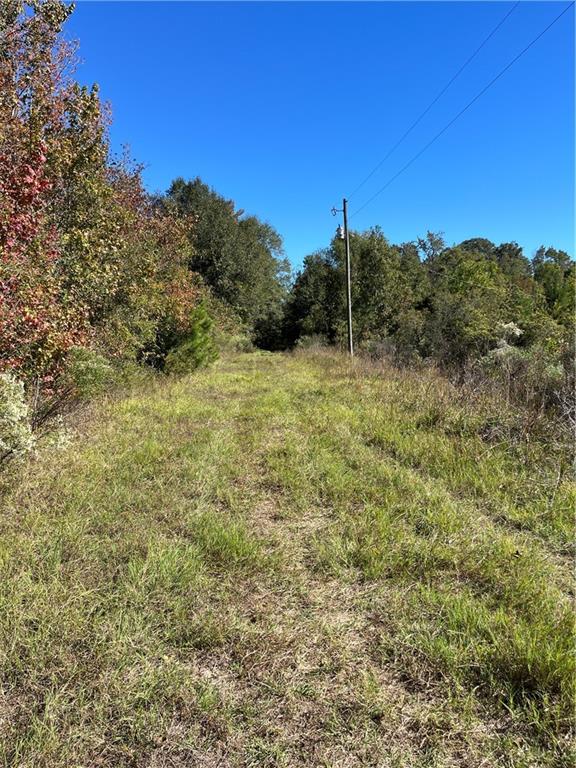 19173 Plank Road Zachary, LA 70791 - Photo 29 of 36
