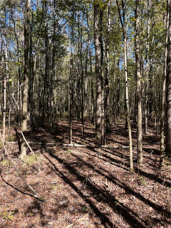 19173 Plank Road Zachary, LA 70791 - Photo 31 of 36