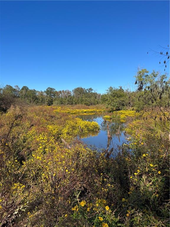 19173 Plank Road Zachary, LA 70791 - Photo 33 of 36