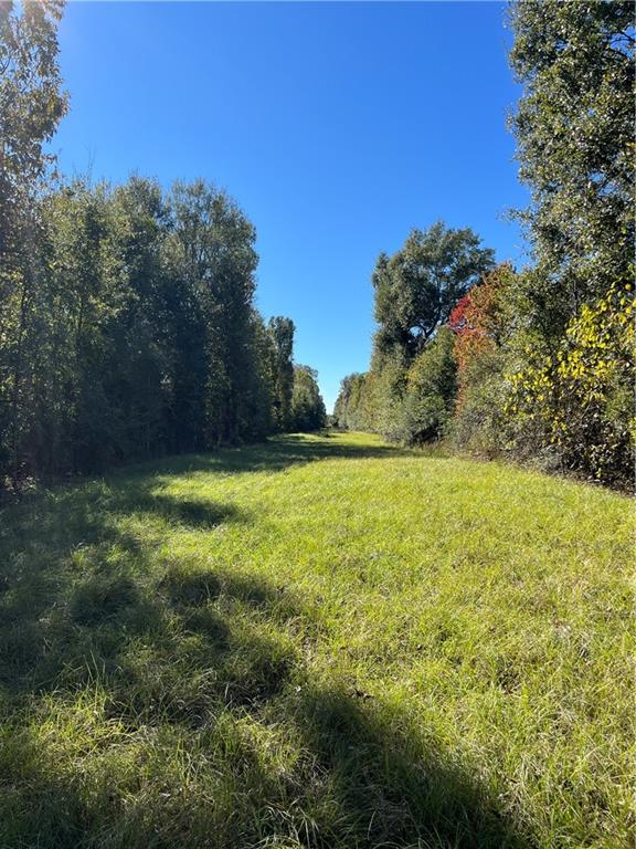19173 Plank Road Zachary, LA 70791 - Photo 34 of 36