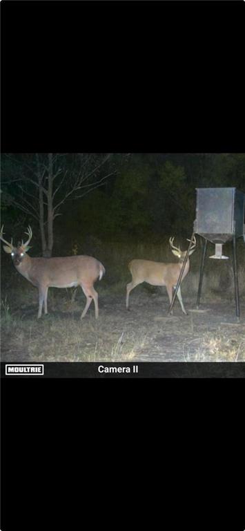 19173 Plank Road Zachary, LA 70791 - Photo 35 of 36