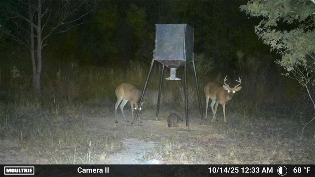 19173 Plank Road Zachary, LA 70791 - Photo 36 of 36