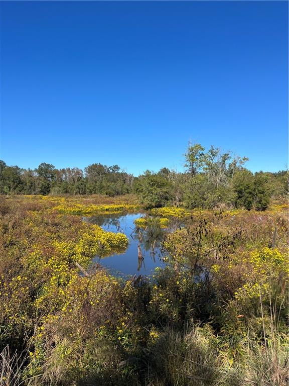 19173 Plank Road Zachary, LA 70791 - Photo 5 of 36