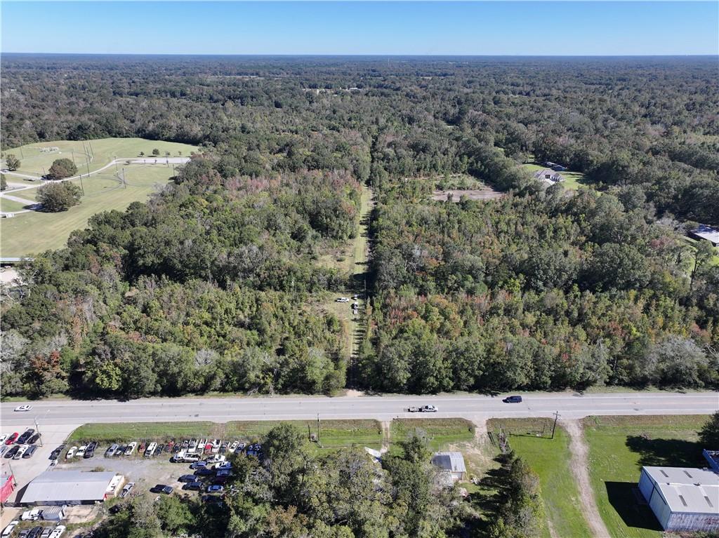 19173 Plank Road Zachary, LA 70791 - Photo 6 of 36