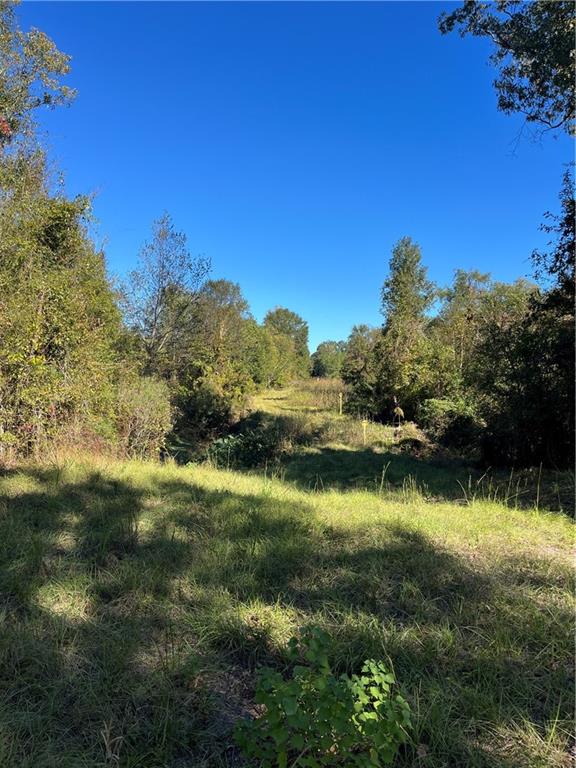 19173 Plank Road Zachary, LA 70791 - Photo 8 of 36