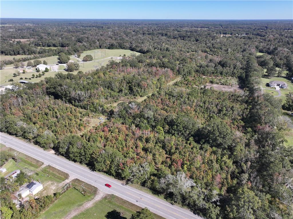 19173 Plank Road Zachary, LA 70791 - Photo 9 of 36