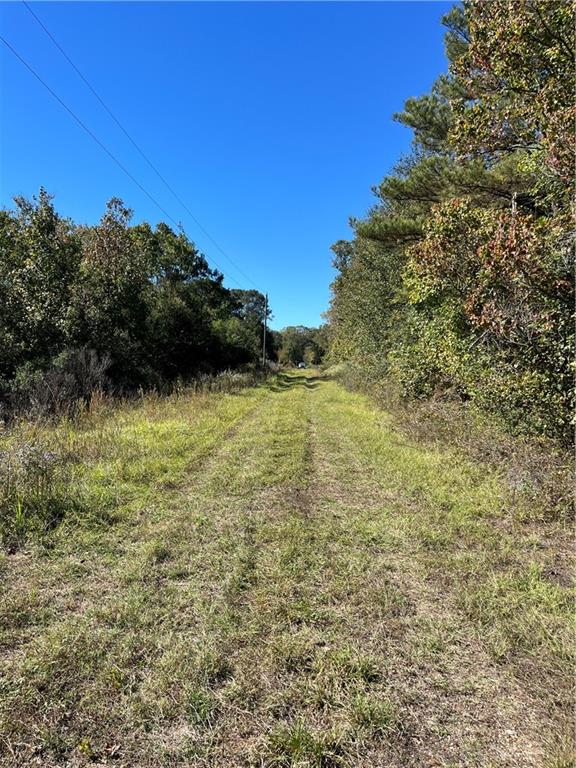 19173 Plank Road Zachary, LA 70791 - Photo 10 of 36