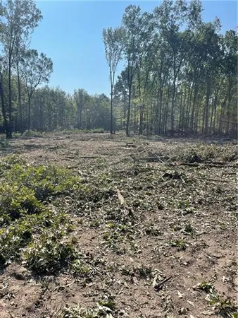 $400,000 | 0 Pete Slaughter Road, Coushatta, LA 71019