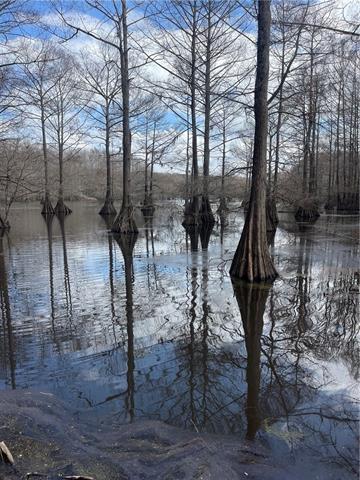 0 Pete Slaughter Road Coushatta, LA 71019 - Photo 2 of 9