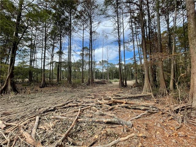 0 Pete Slaughter Road Coushatta, LA 71019 - Photo 3 of 9