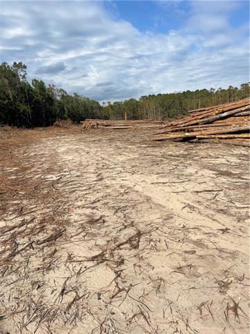 0 Pete Slaughter Road Coushatta, LA 71019 - Photo 5 of 9