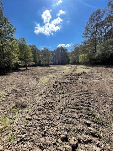 0 Pete Slaughter Road Coushatta, LA 71019 - Photo 6 of 9