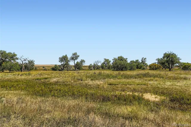 $750,000 | 16540 Umpire Street, Hudson, CO 80642