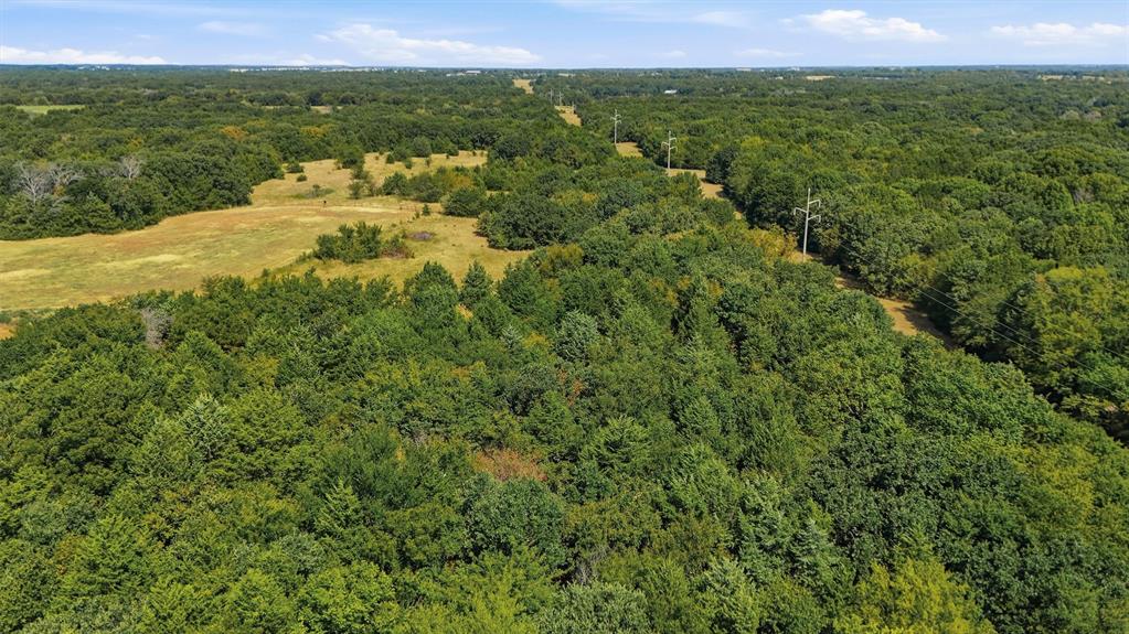 97.94 Bill Holder Road Sadler, TX 76264 - Photo 31 of 34 Gallery Image 31