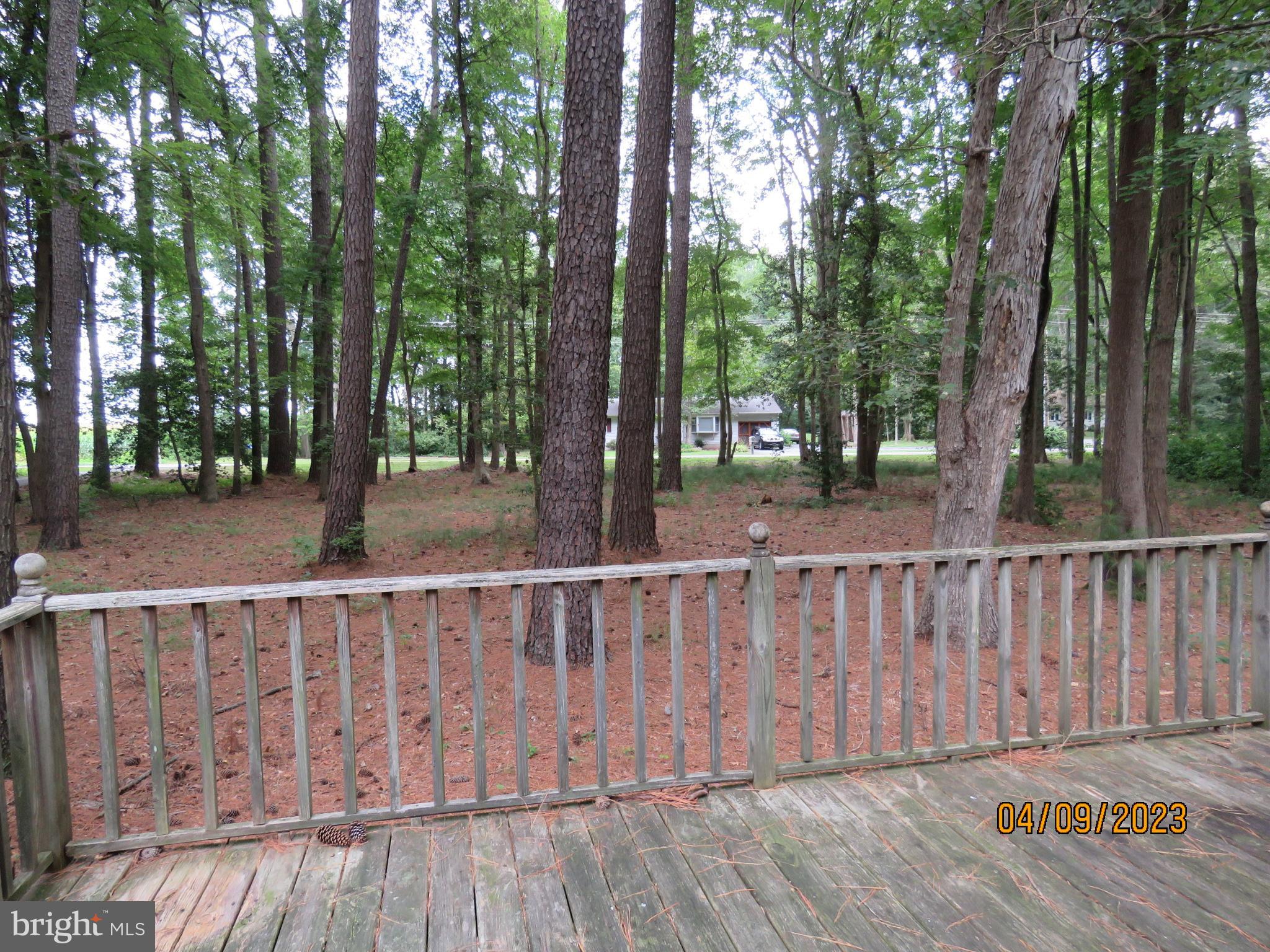 2843 Hopkins Cemetery Road Harrington, DE 19952 - Photo 23 of 41 View From Front Deck