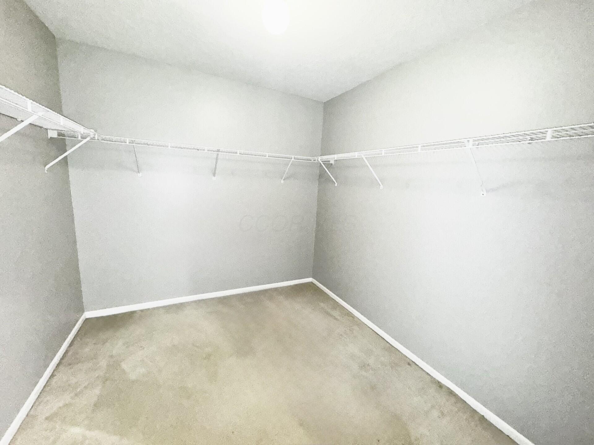 409 Charles Spring Drive Powell, OH 43065 - Photo 13 of 19 Primary Walk In Closet
