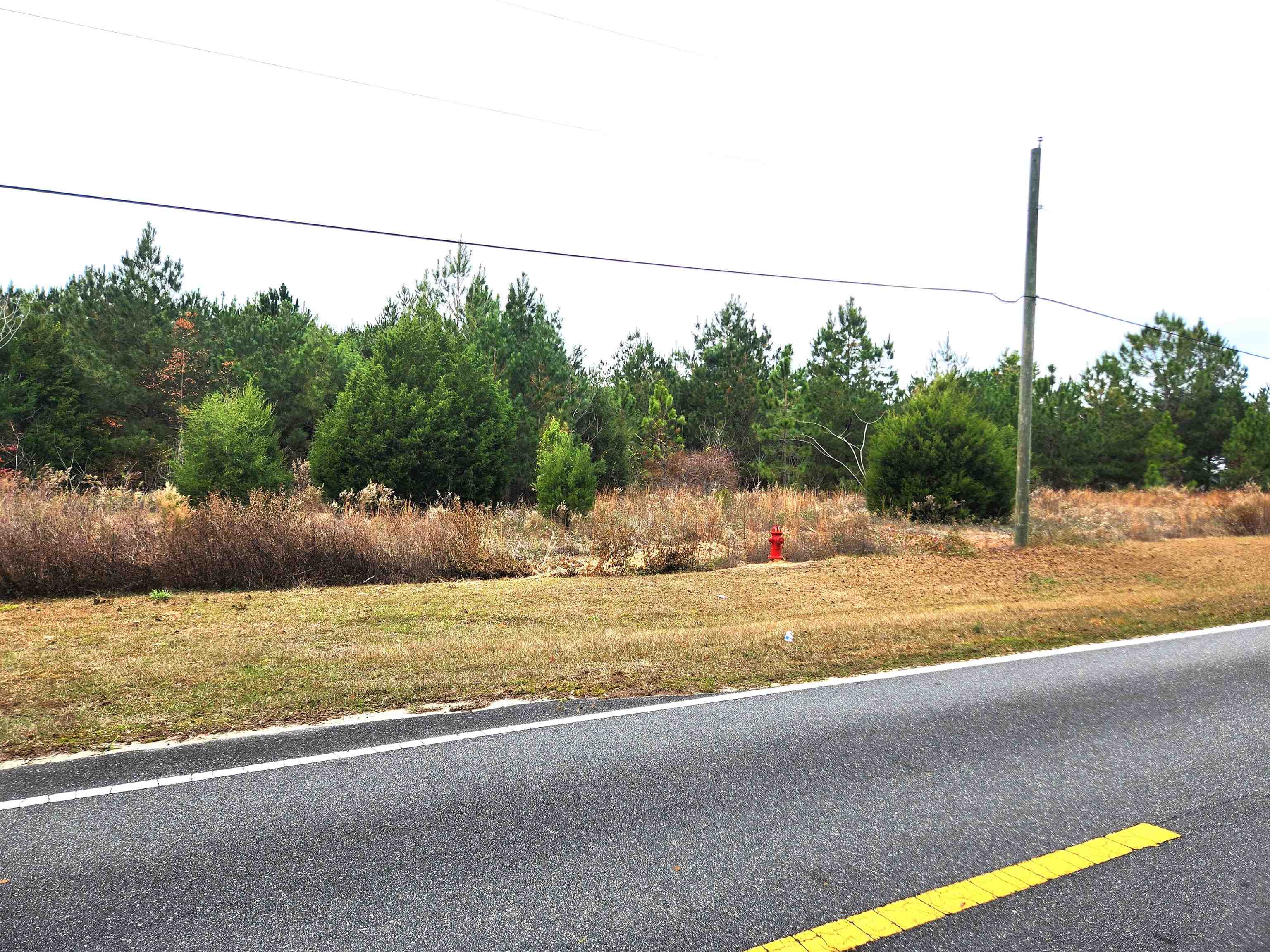 Xxx Northwest Freeman Road Bristol, FL 32321 - Photo 11 of 16