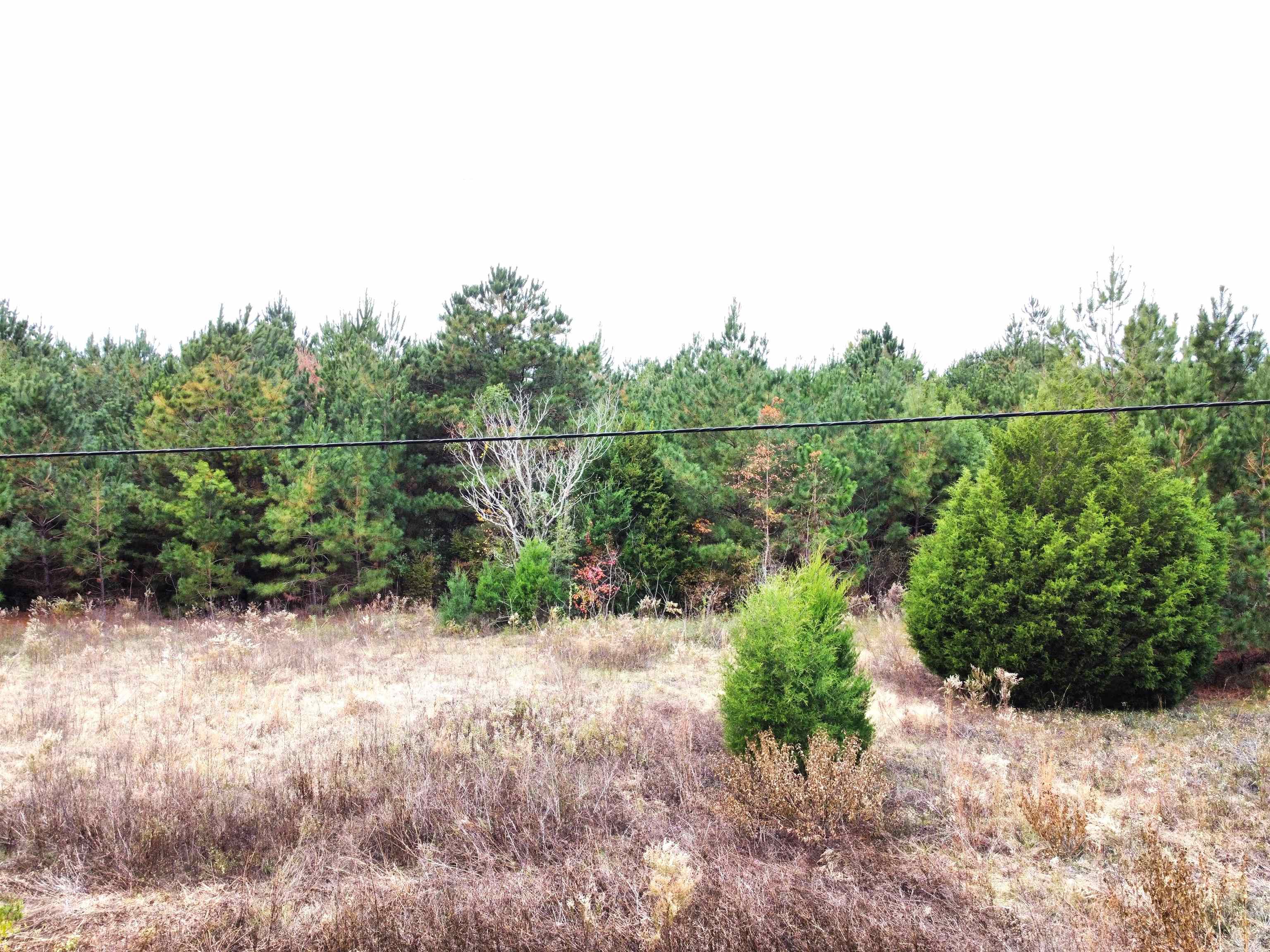 Xxx Northwest Freeman Road Bristol, FL 32321 - Photo 16 of 16