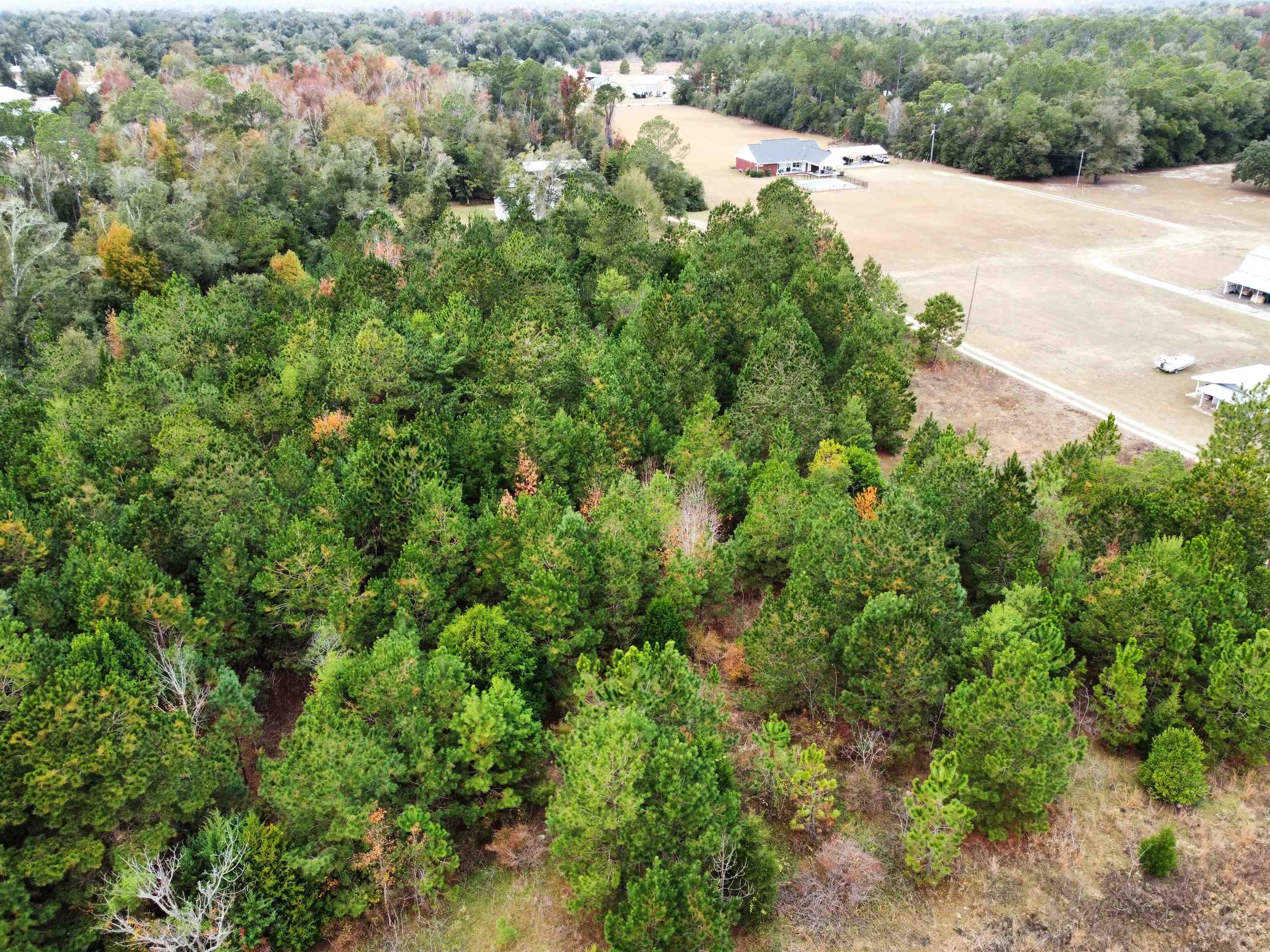 Xxx Northwest Freeman Road Bristol, FL 32321 - Photo 4 of 16