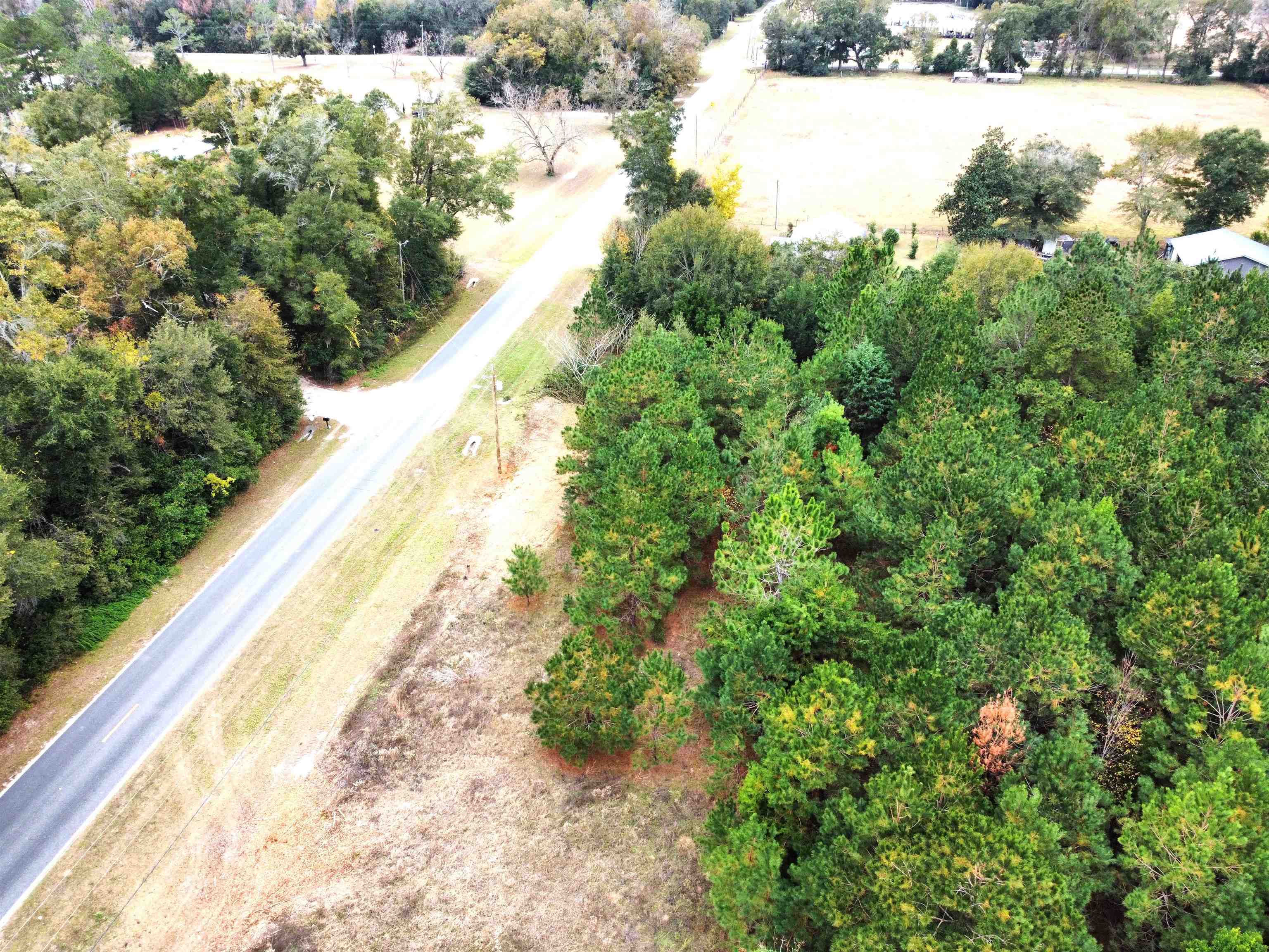 Xxx Northwest Freeman Road Bristol, FL 32321 - Photo 7 of 16