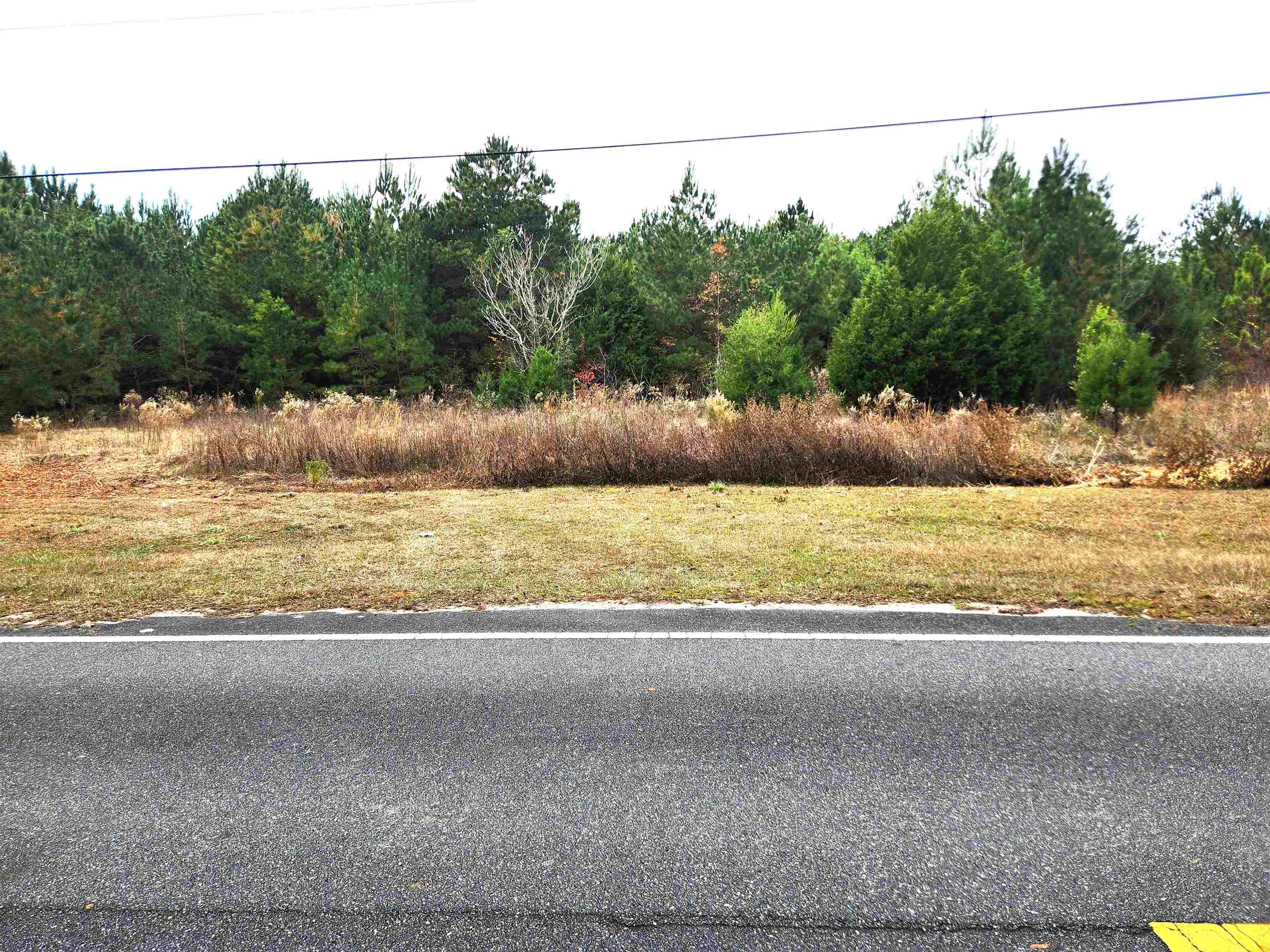 Xxx Northwest Freeman Road Bristol, FL 32321 - Photo 10 of 16