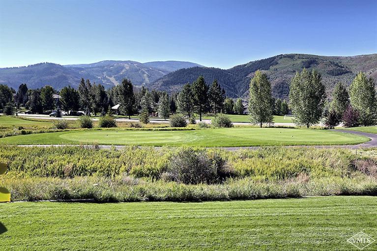 35 Buckboard Road Edwards, CO 81632 - Photo 21 of 21 a view of a lush green hillside and houses
