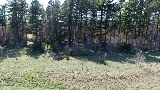 $600,000 | 14 Cannon Falls, Cannon Falls, MN 55009