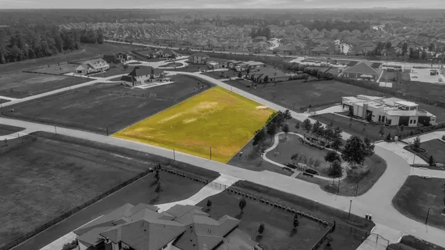 an aerial view of a tennis ground and large trees
